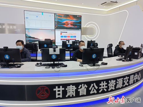 交易不斷檔，服務不停歇——甘肅省公共資源交易中心全力保障項目交易與技術服務